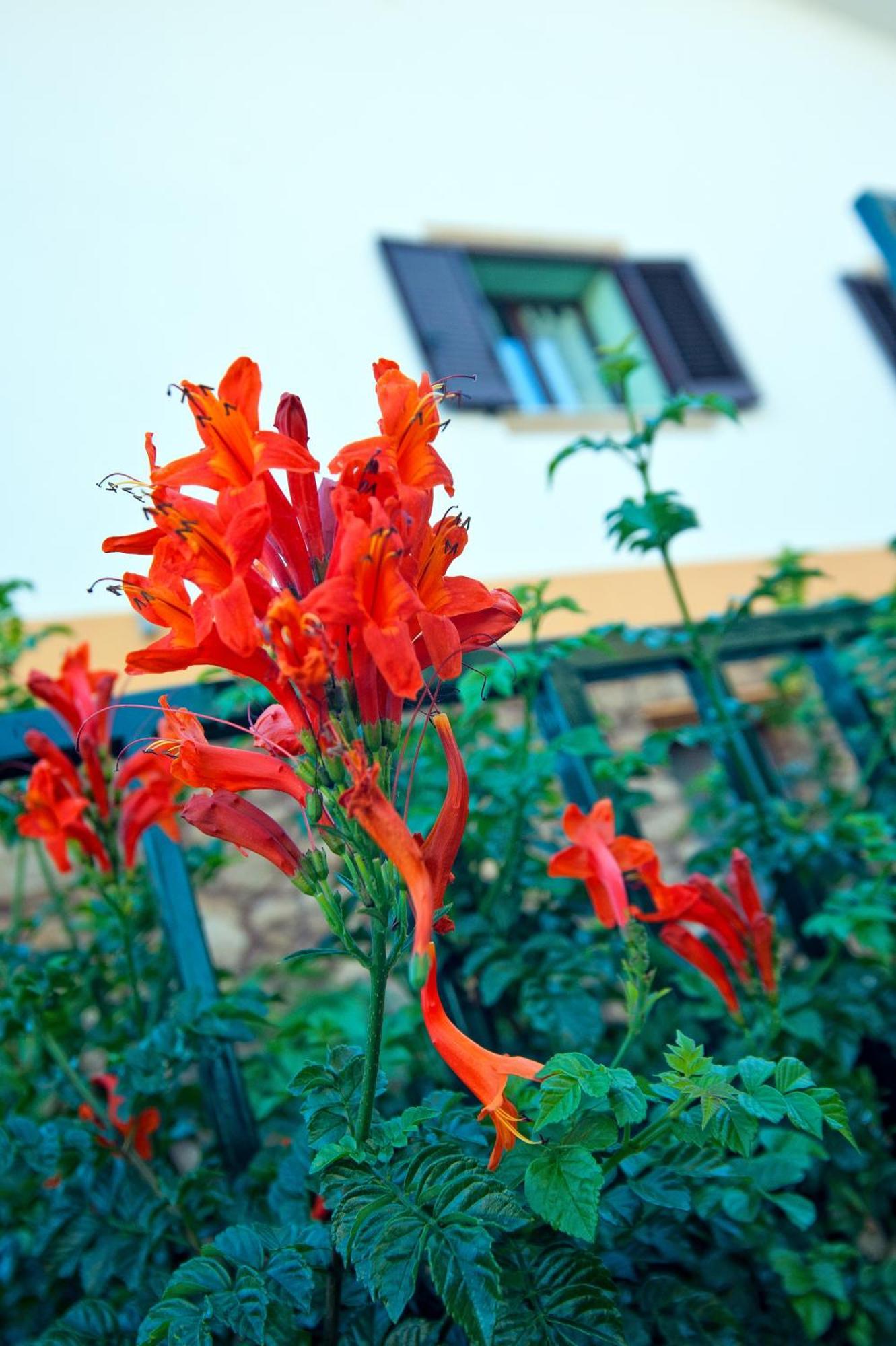 Casale La Zagara Aparthotel Sciacca Bagian luar foto